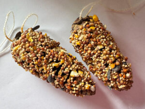 making a pinecone bird feeder