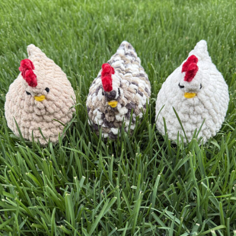 crochet chicken gathering